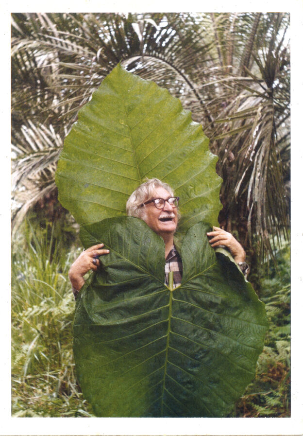 What Inspiration Tells Us: Roberto Burle Marx